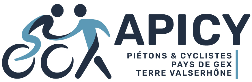 apicy-logo-2025
